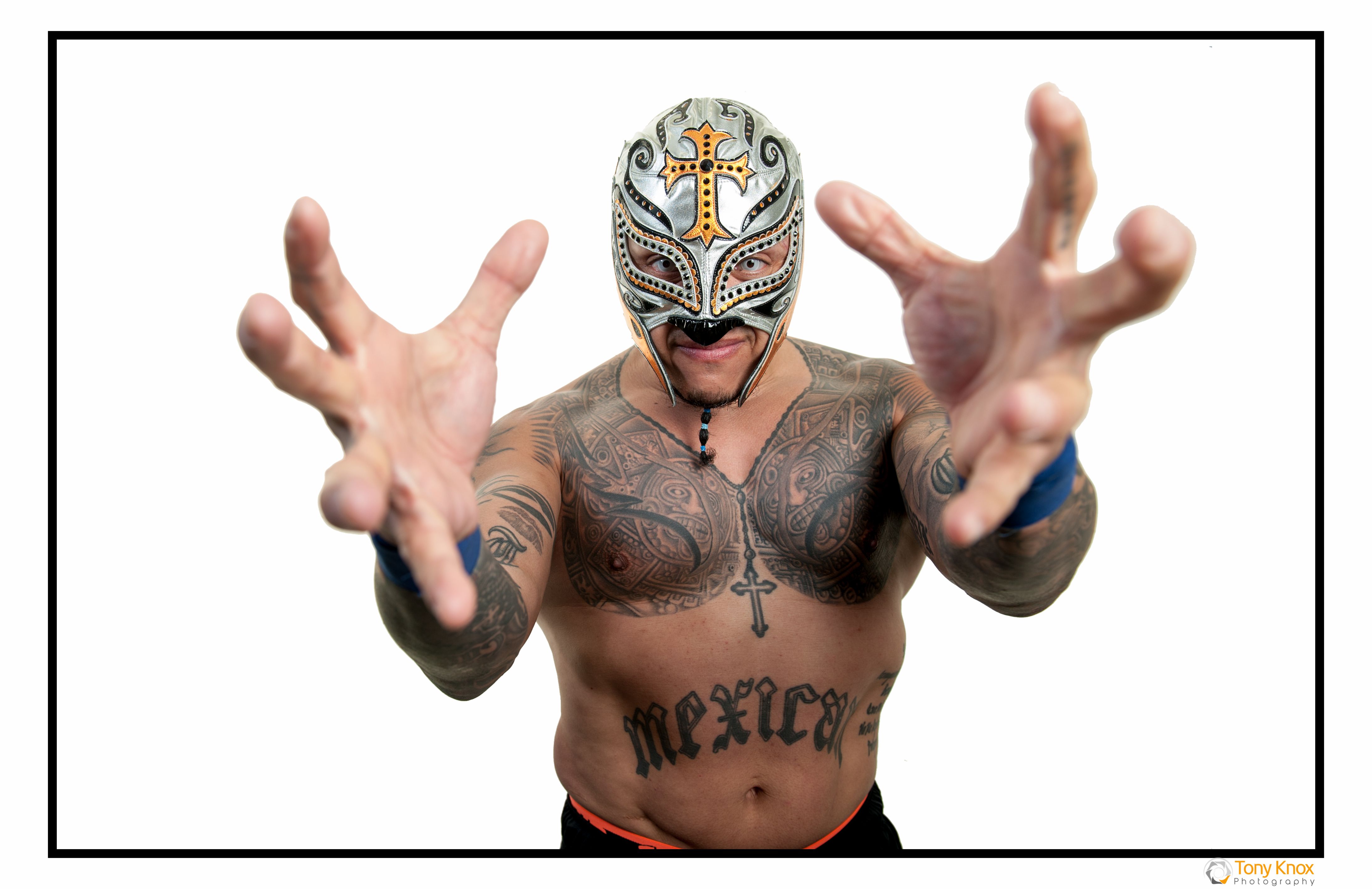 Rey Mysterio Professional Mask Portrait